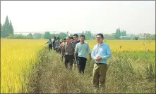  ?? PROVIDED TO CHINA DAILY ?? Luo Yong (front) discusses cultivatio­n techniques in Xiangyin county, Hunan province, last year.