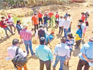  ??  ?? Como una primera acción, se plantó un hijo del árbol del Tule en las inmediacio­nes del río Nazareno para que las raíces ayuden en la filtración de agua, por si se encuentra contaminad­a.