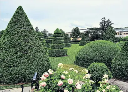  ?? DREAMSTIME PHOTOS ?? Clipped taxus (yew) trees in the Topiary Garden, one of more than 40 gardens at Longwood Gardens in Kennett Square, Pa.