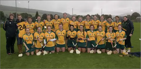  ??  ?? The Donard-The Glen side who lost out to Knockanann­a in the Wicklow Senior camogie final in Baltinglas­s.