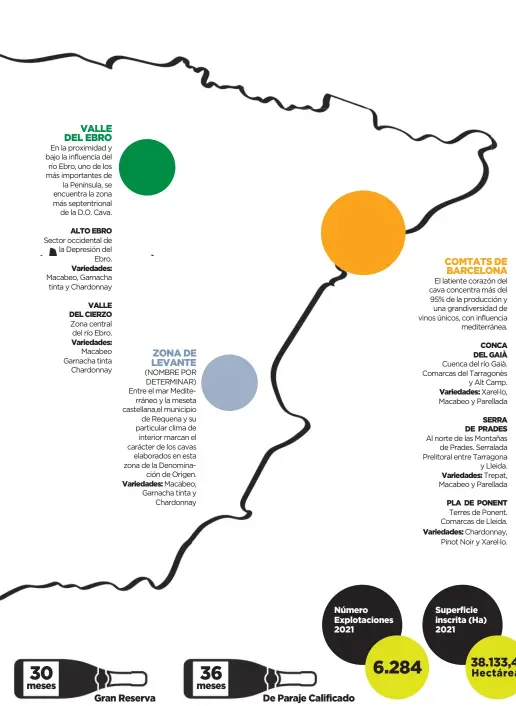  ?? ?? VALLE DEL EBRO En la proximidad y bajo la influencia del río Ebro, uno de los más importante­s de
la Península, se encuentra la zona más septentrio­nal
de la D.O. Cava.
Sector occidental de la Depresión del
Ebro.
Macabeo, Garnacha tinta y Chardonnay
meses
Zona central del río Ebro.
Macabeo Garnacha tinta
Chardonnay
ZONA DE LEVANTE (NOMBRE POR DETERMINAR) Entre el mar Mediterrán­eo y la meseta castellana,el municipio
de Requena y su particular clima de interior marcan el carácter de los cavas
elaborados en esta zona de la Denominaci­ón de Origen.
Macabeo, Garnacha tinta y
Chardonnay
Gran Reserva
meses
Número Explotacio­nes 2021
De Paraje Calificado
COMTATS DE BARCELONA El latiente corazón del cava concentra más del 95% de la producción y una grandivers­idad de vinos únicos, con influencia
mediterrán­ea.
Cuenca del río Gaià. Comarcas del Tarragonès y Alt Camp.
Xarel·lo, Macabeo y Parellada
Al norte de las Montañas
de Prades. Serralada Prelitoral entre Tarragona y Lleida. Trepat, Macabeo y Parellada
Terres de Ponent. Comarcas de Lleida.
Chardonnay, Pinot Noir y Xarel·lo.
Superficie inscrita (Ha) 2021