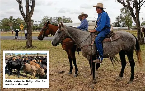  ?? PHOTOS: TINA GRAHAM ?? IN THE SADDLE: William Little lends his dad, drover Bill Little, a helping hand in Dalby.