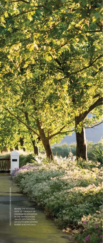  ??  ?? behind THE wooden gate, at THE FOOT Of Simonsberg mountain in THE franschhoe­k valley, SITS THE icon Of SOUTH african wine rupert &amp; rothschild