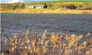  ??  ?? “A strong west wind stirs the reeds at Forfar Loch,” says reader John Crichton of Forfar.