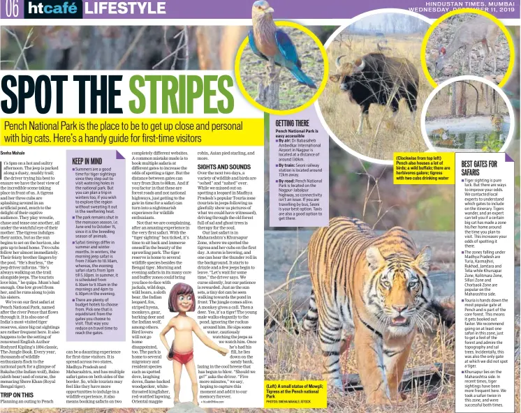  ?? PHOTOS: SNEHA MAHALE; ISTOCK ?? (Left) A small statue of Mowgli; Tigress at the Pench national Park (Clockwise from top left) Pench also houses a lot of birds; a wild buffalo; there are herbivores galore; tigress with two cubs drinking water