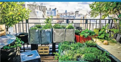  ?? J. GALLAND-POTAGERS ?? Urban-gardening-profi Gudrun Ongania: «Gemüse auf der Terrasse anzubauen, ist nicht nur praktisch, es ist auch dekorativ.»