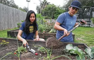  ??  ?? Amelia Quijano and Micah Benson take time out from making raised beds to do some gardening.