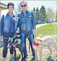  ?? %&4*3&& "/45&: +063/"- 1*0/&&3 ?? Charlene Lapierre with her rescue greyhound, Theo, and Mike Deveau with Calvin. Both dogs are retired racing greyhounds from the Maritime Greyhound Adoption Program in Moncton. Owners and their dogs participat­ed in the dog guide event around Heather...