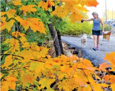  ?? STAFF PHOTO BY TIM BARBER ?? Stephanie Pierce of Lookout Mountain walks her golden doodle, Taylor, near the Eagle’s Nest late Sunday.