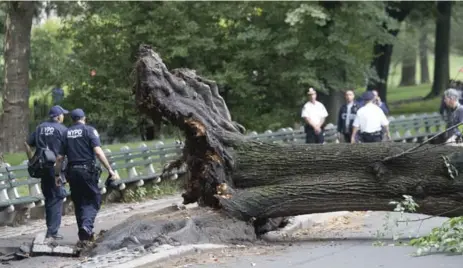  ?? MARY ALTAFFER/THE ASSOCIATED PRESS ?? New York’s fire department says one adult and three children were taken to a hospital in serious condition after the tree fell in Central Park Tuesday.