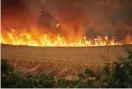  ?? FOTO: SERGIO MARTIN/TT-AP ?? Ett fält i lågor i regionen Navarra i norra Spanien på lördagen.