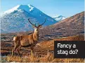  ?? ?? Fancy a stag do?