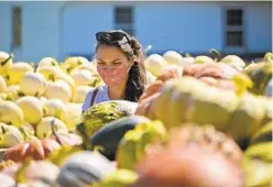  ?? KARL MERTON FERRON/BALTIMORE SUN ?? Joanna Lane, of Columbia, looks among pumpkins filling a wagon on Wednesday at Gaver Farm in Mount Airy.