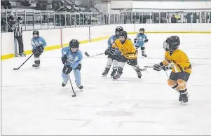  ?? JEREMY FRASER/CAPE BRETON POST ?? In this file photo, the New Waterford Sharks and Glace Bay Miners play a novice game at the New Waterford and District Community Centre on Jan. 27.