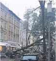  ?? FOTO: C.SCHUG ?? Nur durch Glück hatte der stürzende Baum niemanden verletzt.
