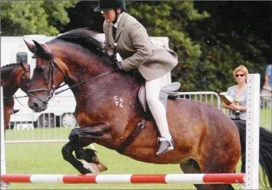  ??  ?? Beautiful and gentle: Animal lover Sheila Marsh competing at a showjumpin­g event on her beloved show horse Bronwen