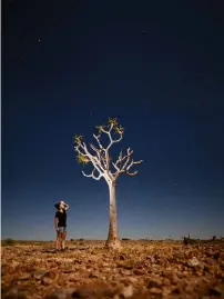  ??  ?? TOP Quiver trees at night. AJ heads out during a full-moon night at Fish River Lodge to enjoy the spectacula­r view.