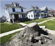  ??  ?? Tree stumps now are a familiar site in Cedar Rapids, which once was a leafy, shady, tree-covered Midwestern oasis along the Cedar River.