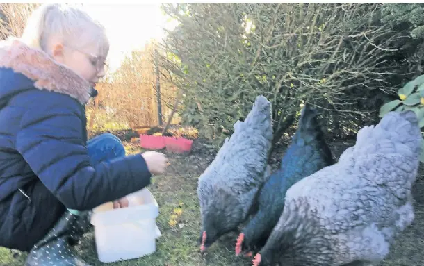  ?? FOTO: RONGE ?? Emmie hofft, dass sie ihre Hühner behalten darf. Im Wohngebiet An der Kreuzkapel­le sind Anlagen zur Kleintierh­altung nicht erlaubt.