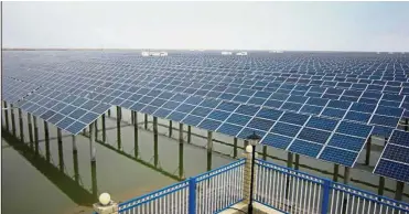  ??  ?? Solar power: Solar panels mounted on concrete piles at the sea cucumber breeding farm produce renewable energy.