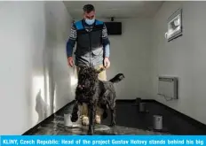  ??  ?? KLINY, Czech Republic: Head of the project Gustav Hotovy stands behind his big Schnauzer dog inside the training center for COVID-19 sniffing dogs located inside a ship container on Jan 22, 2021. — AFP
