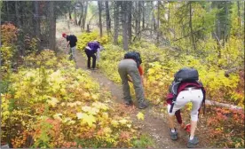  ?? J.P. SQUIRE/The Okanagan Weekend ?? Members of the Central Okanagan Outdoors Club cleaned brush from more than half of the Upper Lookout Trail in Myra-Bellevue Provincial Park, south of Kelowna, last weekend.