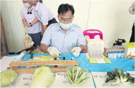  ??  ?? ABOVE
Vegetables are subjected to a random test for toxin residue.