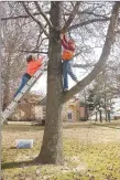  ?? LYNN KUTTER ENTERPRISE-LEADER ?? Christina Phillips and Bryton Neal with Klaasmeyer Constructi­on take down Christmas lights on Lincoln Square. Lincoln officials are trying to find out who actually owns Lincoln Square.