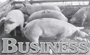  ?? ?? Business Local hog production reached 1.79 million metric tons (MT) in 2023, higher than 1.73 million MT in 2022, according to the Philippine Statistics Authority.