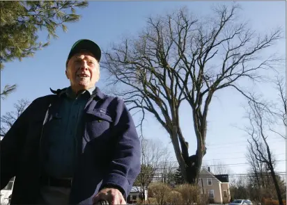  ?? STEVEN SENNE — THE ASSOCIATED PRESS/FILE ?? Frank Knight, 101, of Yarmouth, Maine, stands in front of an elm tree known as “Herbie” in Yarmouth on Dec. 14, 2009. Knight took care of the tree for about 50years while working as the Yarmouth tree warden. The tree, estimated to be 217years old, was cut down Jan. 19, 2010 after suffering numerous bouts of Dutch elm disease.