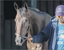  ?? Skip Dickstein/ Special to the Times Union ?? Woodward entrant Mongolian Groom finished third in the Pacific Classic on Aug. 17, but rebounded well from that effort.