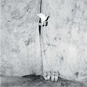  ??  ?? Juxtaposed, by South African photograph­er Roger Ballen. Ballen’s exhibition, There is No Outside, runs at the School of the Photograph­ic Arts Ottawa until Sept. 23.