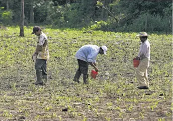  ??  ?? Visiones. La situación del agro salvadoreñ­o fue analizada en profundida­d.