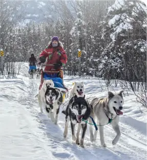  ?? YUKON QUEST • MUKTUK ADVENTURES ??