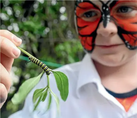  ?? SUPPLIED ?? Charlie, 7, was a part of a social media campaign that targets kids to help save the monarch butterfly.