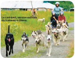  ??  ?? Le cani-kart, version estivale du traîneau à chiens.