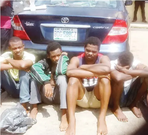  ??  ?? Some of the cultists paraded by the police in Lagos recentlly