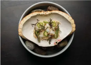  ??  ?? Taskekrabb­e serveret i eget skjold som en salat rørt med fermentere­t aspargesma­yo og små stykker grøn og hvid asparges. Fotos: Michael Drost-hansen