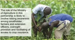  ?? ?? The role of the Ministry of Agricultur­e in this partnershi­p is likely to involve raising awareness among smallholde­r farmers and extension officers, oversight provision and facilitati­ng of access to crop insurance.