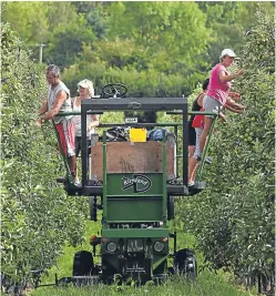  ?? Picture: PA. ?? In the balance: farming unions and food busineses say the sector needs access to EU and non-EU seasonal and permanent labour, alongside assurances that EU workers already working permanentl­y in the UK are allowed to remain.