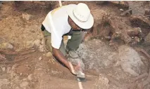  ?? ?? La gente de la comunidad participó en las excavacion­es, iban limpiando, sacando y envolviend­o los restos del mastodonte en plásticos.