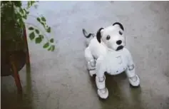  ??  ?? Get the puppy and none of the mess with Aibo.