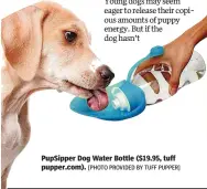  ?? [PHOTO PROVIDED BY TUFF PUPPER] [PHOTO PROVIDED BY THE BUDDY SYSTEM] ?? PupSipper Dog Water Bottle ($19.95, tuff pupper.com). The Buddy System ($20-$26, buddysys.com).