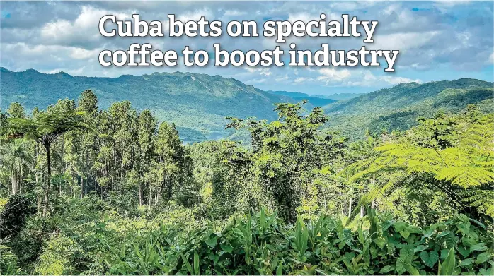  ?? — AFP photos ?? View of the Escambray Mountains in the center of Cuba, where coffee plants for specialty coffees are cultivated in Villa Clara province, Cuba.