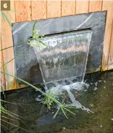 ??  ?? 6 6. Cette lame d’eau qui alimente les bassins du jardin japonisant vient élégamment habiller le mur du local technique de la piscine.