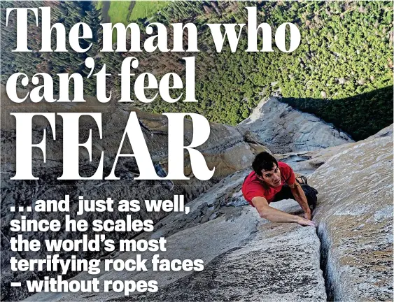  ?? Picture: NATIONAL GEOGRAPHIC / JIMMY CHIN ?? Ain’t no mountain high enough: Alex Honnold during his solo ascent of El Capitan’s Freerider in Yosemite Valley, California