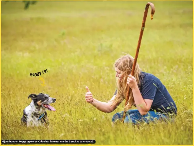  ??  ?? Gjeterhund­en Peggy og eieren Chloe har funnet sin måte å snakke sammen på.