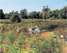  ??  ?? Oasis. El jardín de rosas se inauguró el 24 de noviembre de 1914.