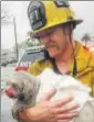  ?? AP ?? Firefighte­r Andrew Klein holds Nalu after rescuing him.