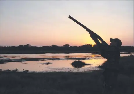  ??  ?? Daniel Luttig, 13, shot his first magpie goose at Harrison Dam with his dad on his birthday. Daniel shot it from a hide they made inside a bush, overlookin­g some water, using a Webley and Scott 912k shotgun